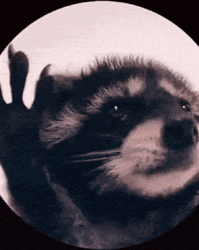 Pedro GIF